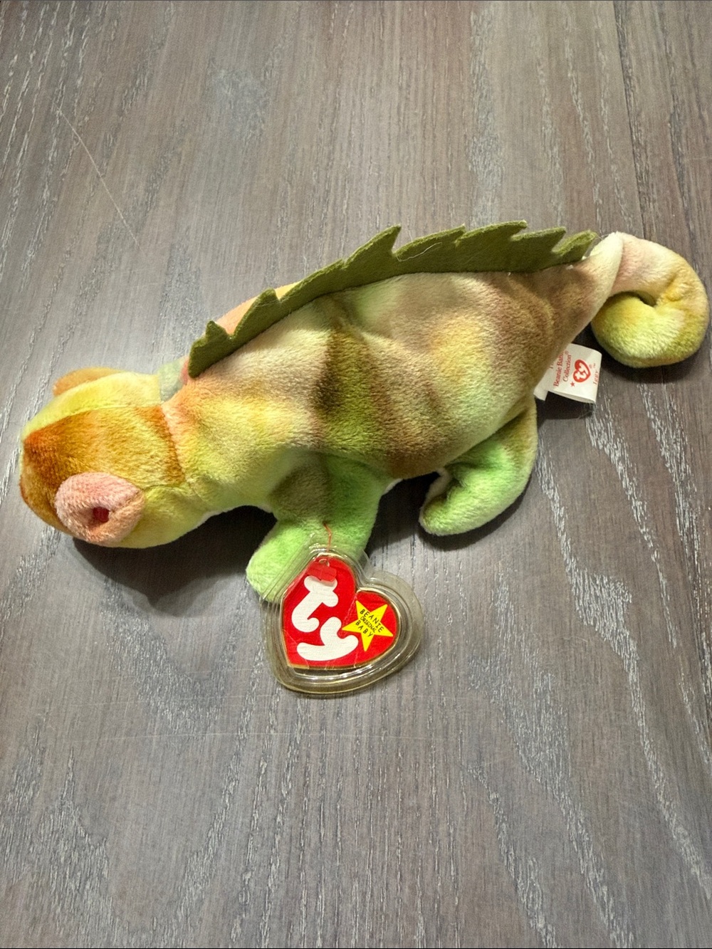 Ty Multicolor Chameleon Beanie Baby Indonesia PVC Plush with Green Spines Ivy